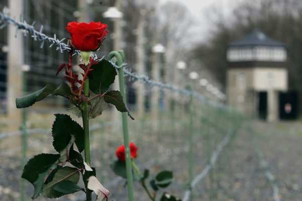 Актуально: в Беларуси проживает около 8 тыс. бывших узников фашизма: какая господдержка им оказывается