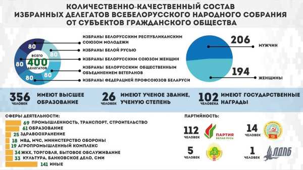 ЦИК установил итоги выборов делегатов ВНС от местных Советов депутатов и гражданского общества