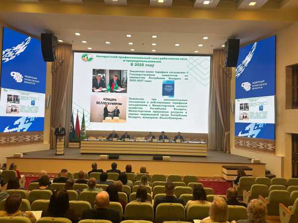 Помощь в 2,5 млн рублей оказал в 2025 году своим членам профсоюз работников леса и природопользования