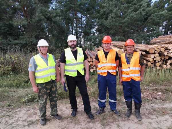 На контроле охрана труда при разработке ветровально-буреломных лесосек