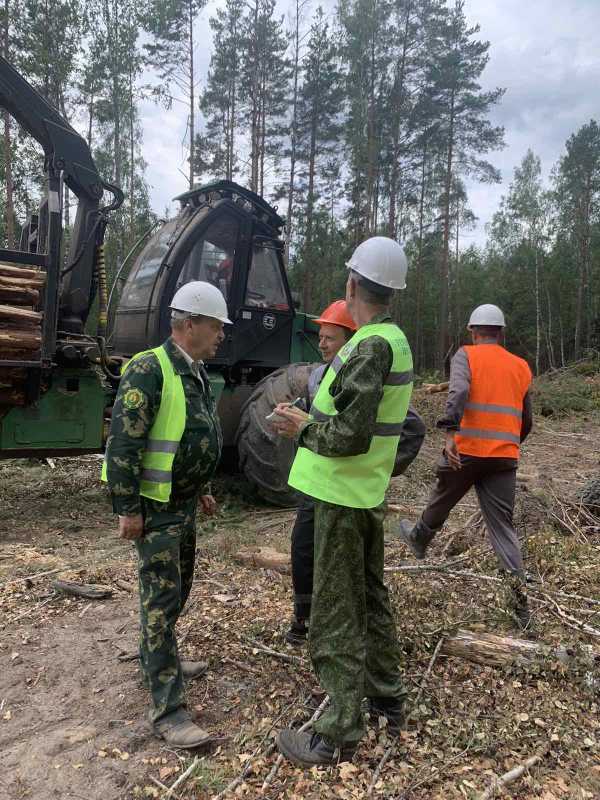 Устранение последствий непогоды  на территории Чериковского лесхоза