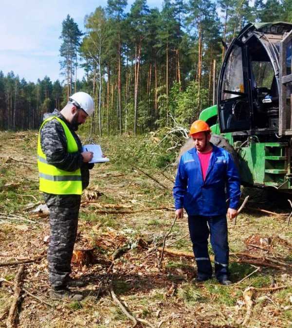 Охрана труда при разработке ветровально-буреломных лесосек