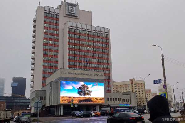 Поддержка на международной арене, обучение и спорт. Что обсуждали руководители профцентров Беларуси и Пакистана