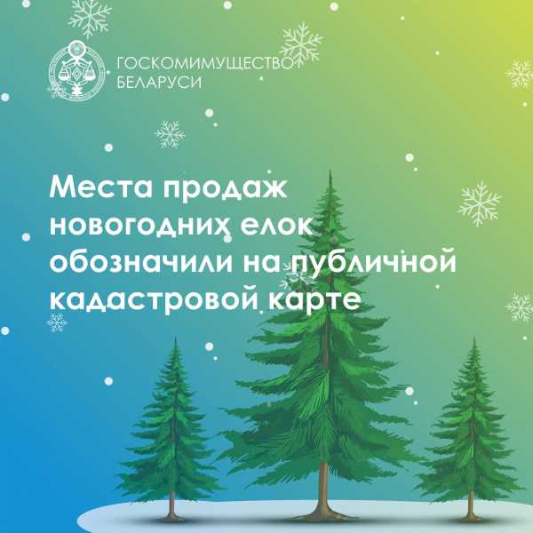 Места продаж новогодних елок обозначили на публичной кадастровой карте