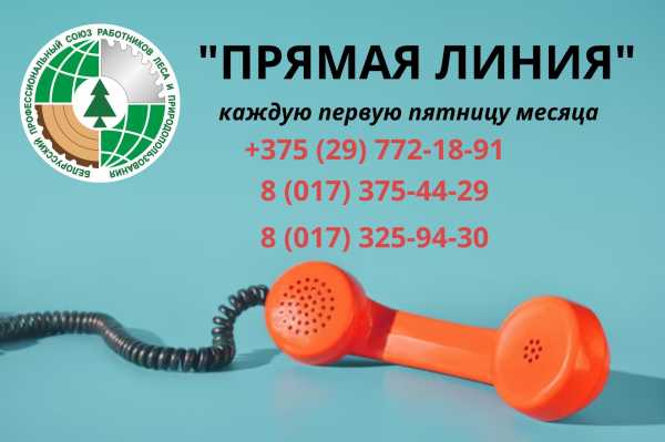 “ПРЯМАЯ ЛИНИЯ” отраслевого Профсоюза каждую первую пятницу месяца