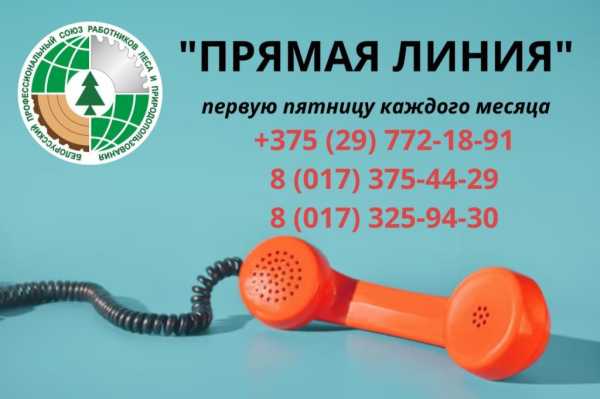 “ПРЯМАЯ ЛИНИЯ” отраслевого Профсоюза состоится сегодня