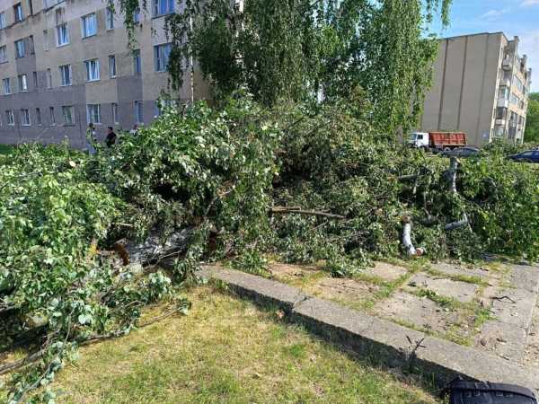 В лесной отрасли отменят все массовые мероприятия на июль