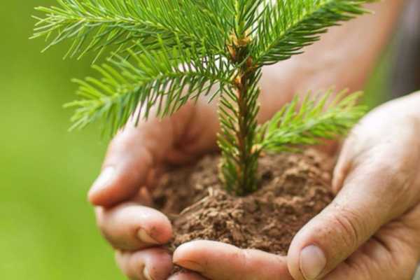 ЮРИЙ ШУМСКИЙ: «ВЫ ВКЛАДЫВАЕТЕ НЕ ТОЛЬКО СВОИ СИЛЫ, НО И ДУШУ В РАЗВИТИЕ ПРЕДПРИЯТИЙ ОТРАСЛИ