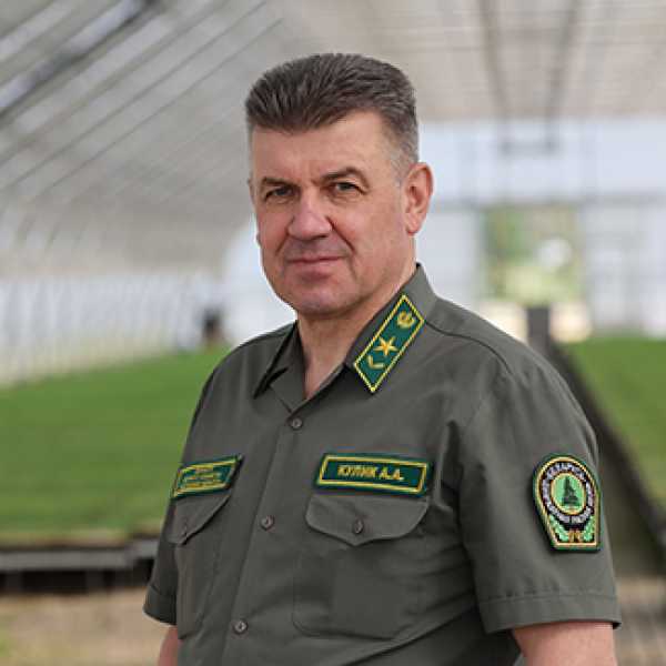 Приближаемся к рекорду? Кулик о развитии лесной отрасли, питомниках и экспорте