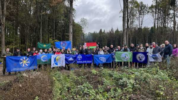 Более 10 тысяч деревьев высажено профсоюзами в Дрибинском районе