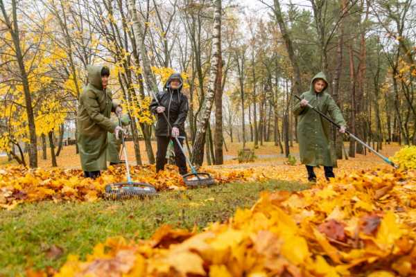 С заботой об отдыхе и оздоровлении трудящихся: профсоюзы благоустраивают санатории и базы отдыха