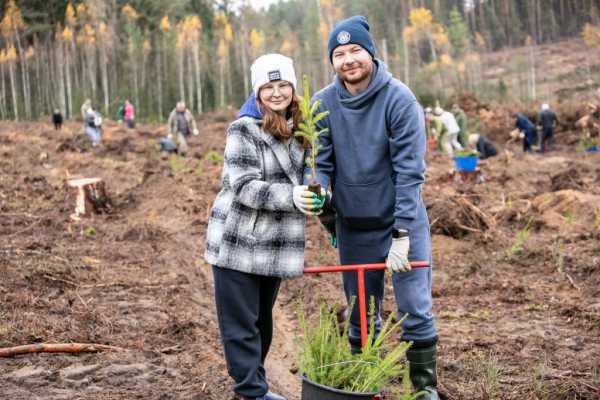 Поработали с энтузиазмом. Представители ФПБ восстановили около 14 гектаров леса на Могилевщине