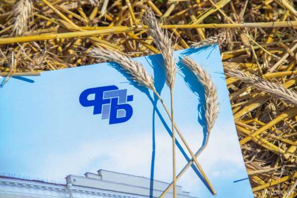 Сколько работников во время жатвы показали высокие результаты и были отмечены наградами, рассказали в ФПБ