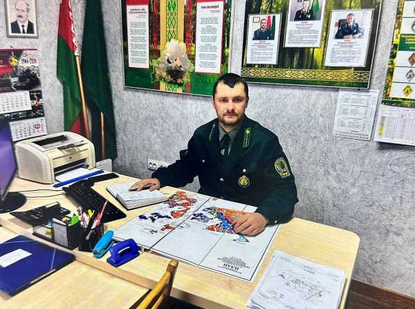Лучших наставников определили в системе Минлесхоза 