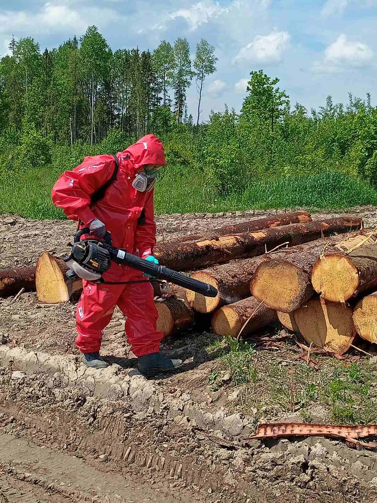 Контроль профсоюза за проведением работ на буреломных лесосеках